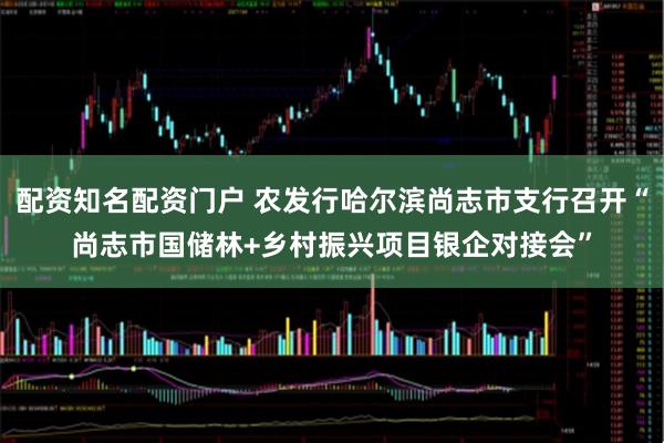 配资知名配资门户 农发行哈尔滨尚志市支行召开“尚志市国储林+乡村振兴项目银企对接会”