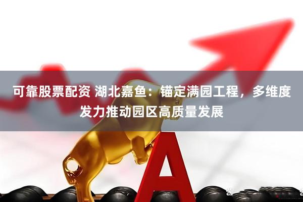 可靠股票配资 湖北嘉鱼：锚定满园工程，多维度发力推动园区高质量发展
