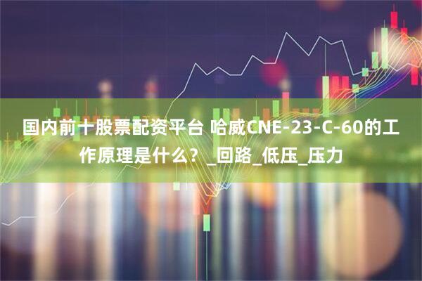国内前十股票配资平台 哈威CNE-23-C-60的工作原理是什么？_回路_低压_压力