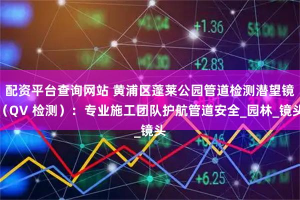 配资平台查询网站 黄浦区蓬莱公园管道检测潜望镜（QV 检测）：专业施工团队护航管道安全_园林_镜头