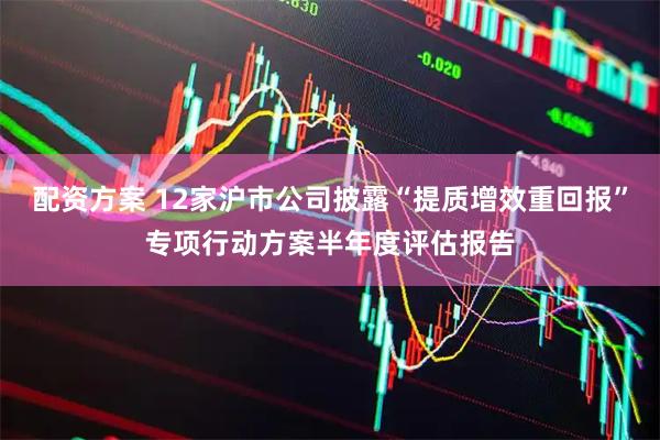 配资方案 12家沪市公司披露“提质增效重回报”专项行动方案半年度评估报告